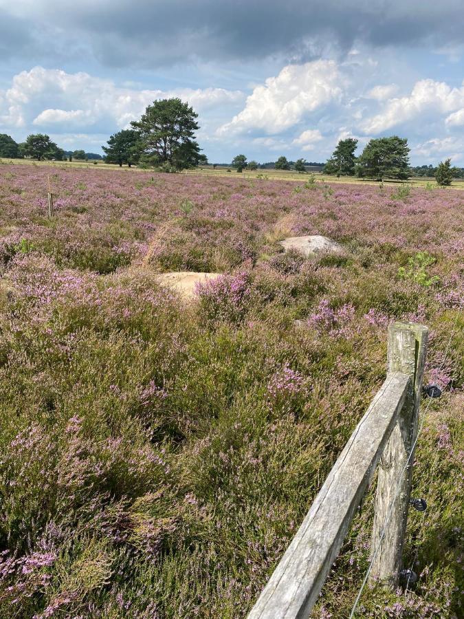 Holiday In Der Lueneburger Heide Bispingen Luaran gambar